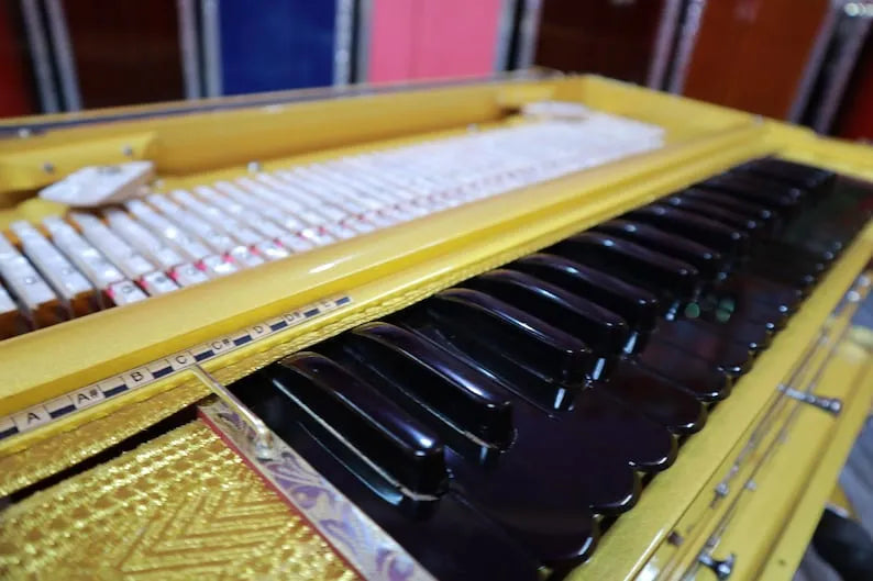 shiny black keys of golden 3 Line 9 Scale Changer Harmonium with Built-in Shruti Box - National Music India